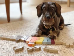 Buchstabenpuzzle Hund