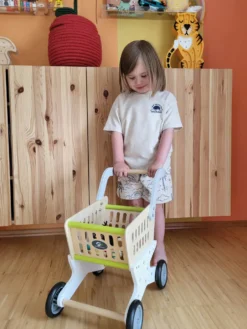 Einkaufswagen Trend