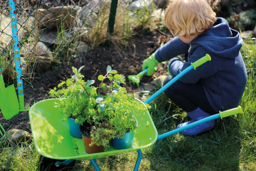 Großes Gartenset mit Schubkarre | defekte Verpackung