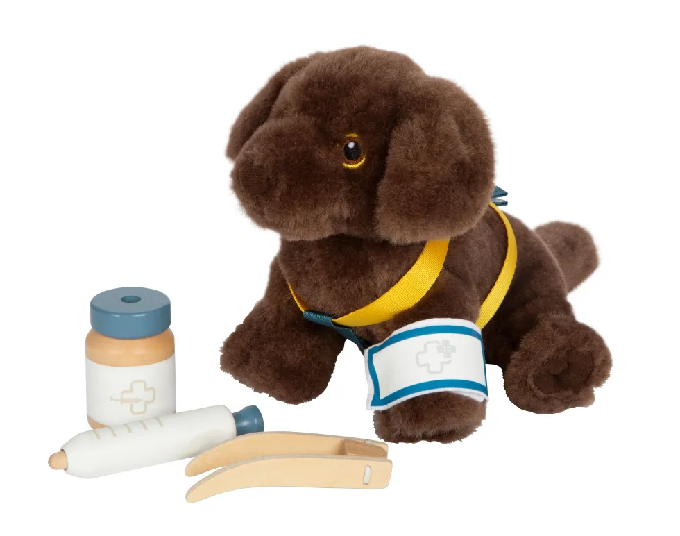 Hund mit Tasche und Pflege-Set