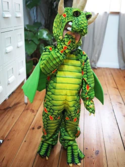 Kostüm Drachen