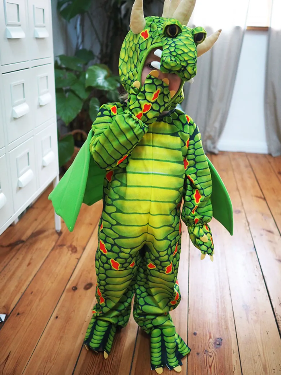 Kostüm Drachen