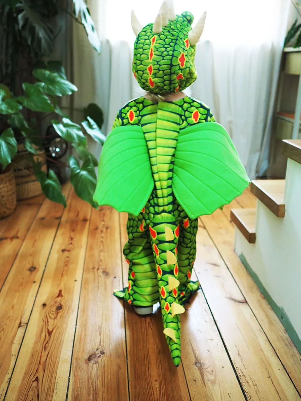 Kostüm Drachen