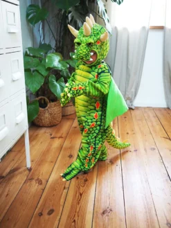 Kostüm Drachen