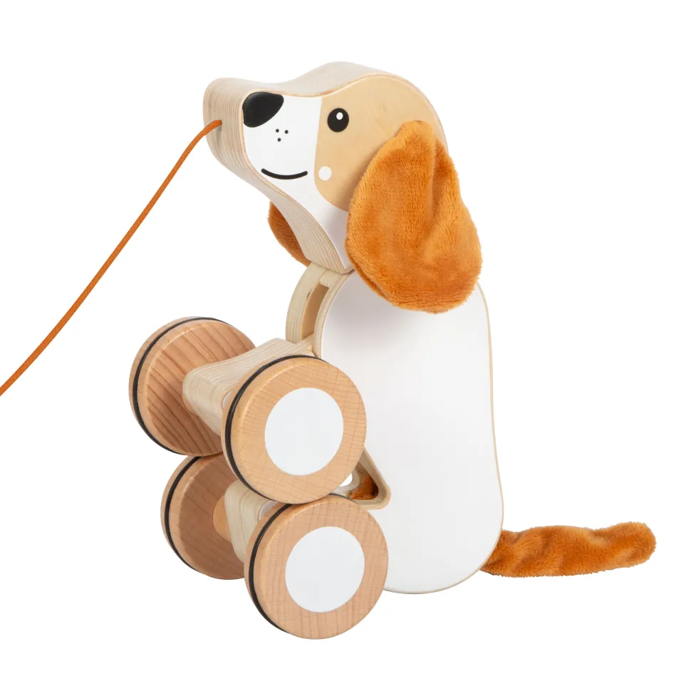 Nachziehtier Hund mit Knisterohren