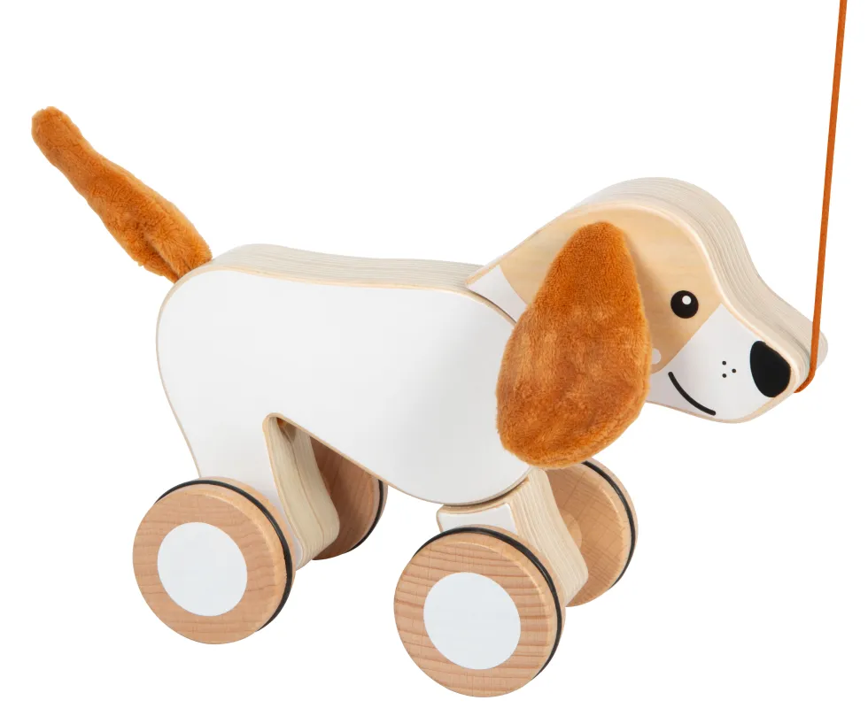 Nachziehtier Hund mit Knisterohren