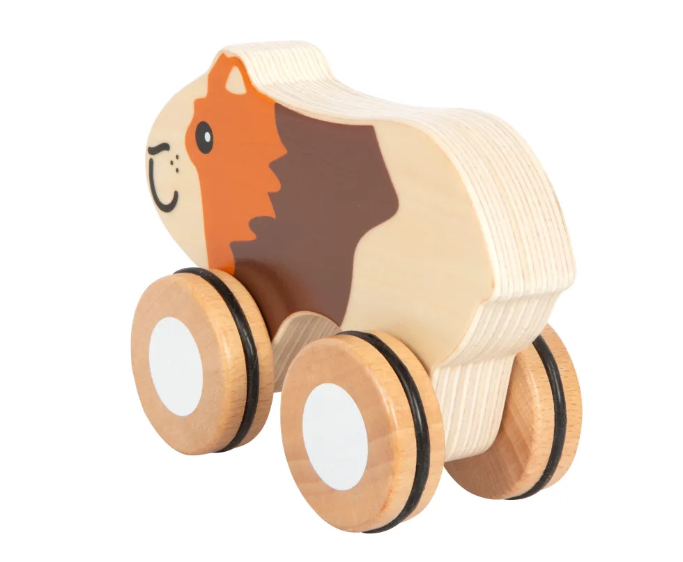 Nachziehtier Meerschweinchen