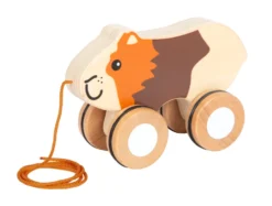 Nachziehtier Meerschweinchen