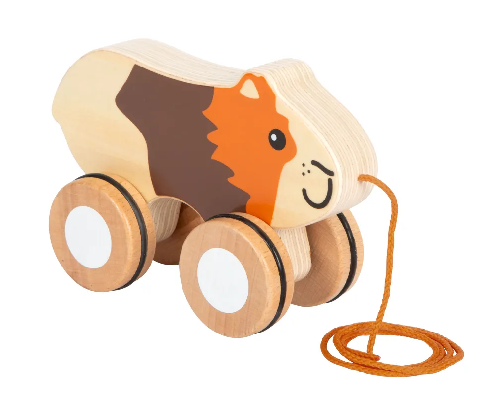 Nachziehtier Meerschweinchen