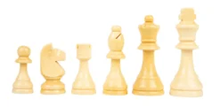 Schach und Dame XL