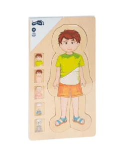 Schichtenpuzzle Anatomie Junge
