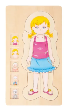 Schichtenpuzzle Anatomie Mädchen