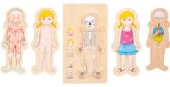 Schichtenpuzzle Anatomie Mädchen