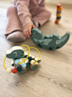 Schiebetier mit Motorikschleife „Dino“